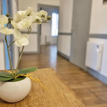 ❂ Les Logis De La Tremoille ❂ Cozy ❂ Netflix ❂