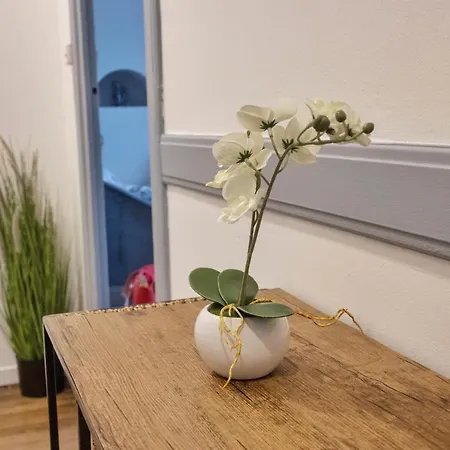 ❂ Les Logis De La Tremoille ❂ Cozy ❂ Netflix ❂ *