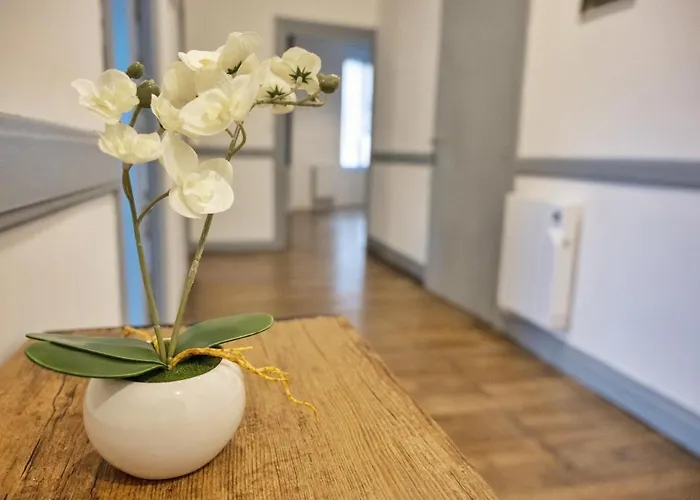 ❂ Les Logis De La Tremoille ❂ Cozy ❂ Netflix ❂